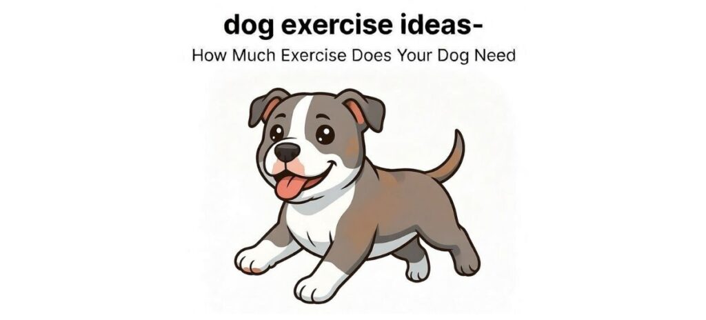 dog exercise ideas