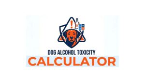 Dog Alcohol Toxicity Calculator
