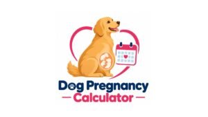 Dog Pregnancy Calculator